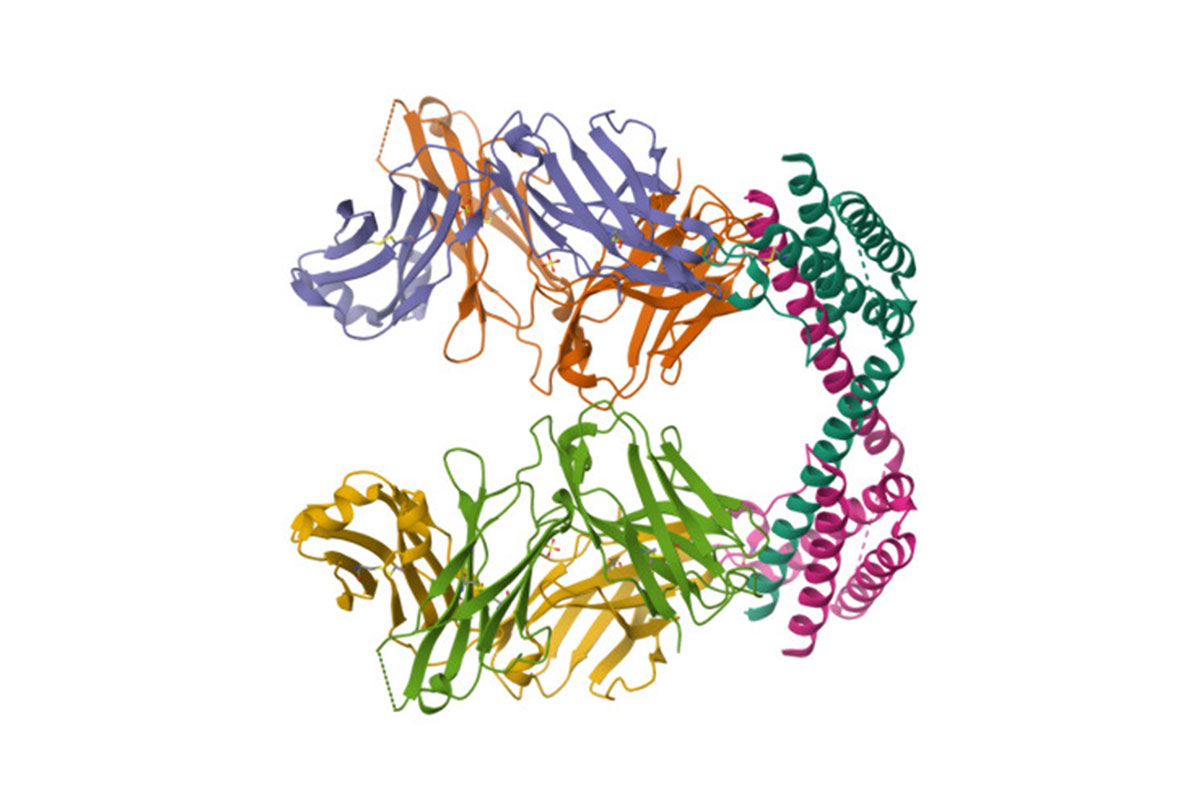 8YWR-bioinformatics.jpg