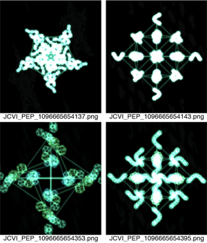 ATLAS in silico proteins