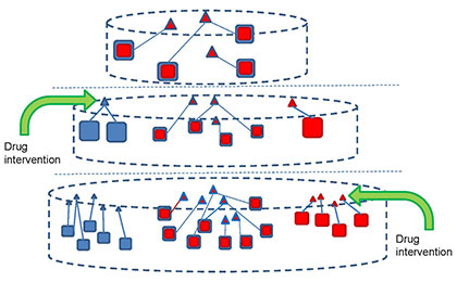 Diagram showing the hierarchy of TFs and CGGs networks and the novel strategy of drug design based on hierarchical gene–TF network analysis. The blue squares are schizophrenia-related; the red squares are autism-related CGGs and TFs. Some CGGs and TFs are common for both disorders, while some are unique for each disorder. Drugs can be administered at different levels of hierarchy and delivered either to a set of possible targets or the selected CGG. Igor Tsigelny, SDSC/UC San Diego