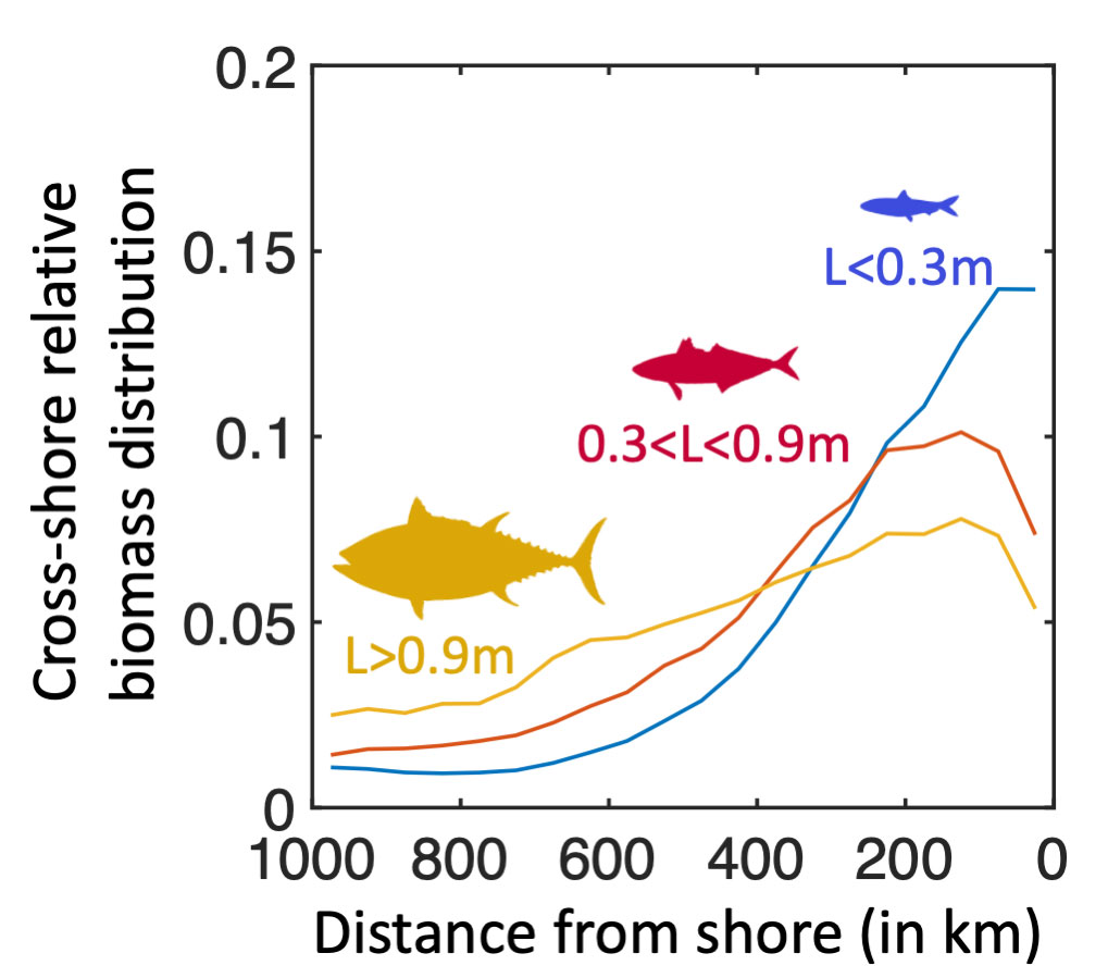 PR20220721_ocean_current_ecosystem_graph.jpg